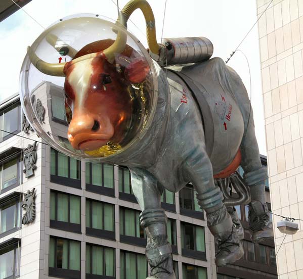 cow.jpg