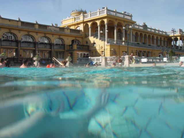 p5090494.jpg
