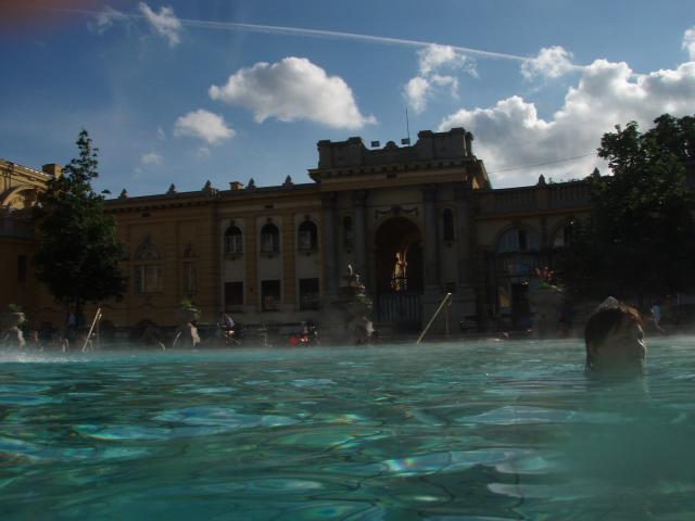 p5090502.jpg