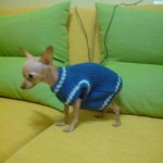 dsc00030