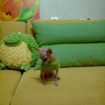 dsc00098